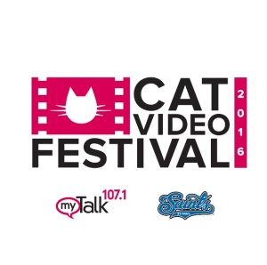 Cat Video Fest 1